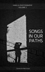 Book cover - Songs in our paths